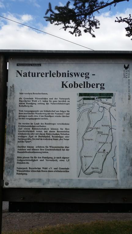 Waldgasthof - Hotel Schiederhof Wiesenfelden Екстер'єр фото